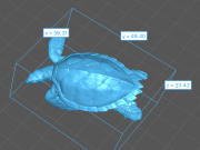 35130268_hawksbill_turtle_swim_4.png
