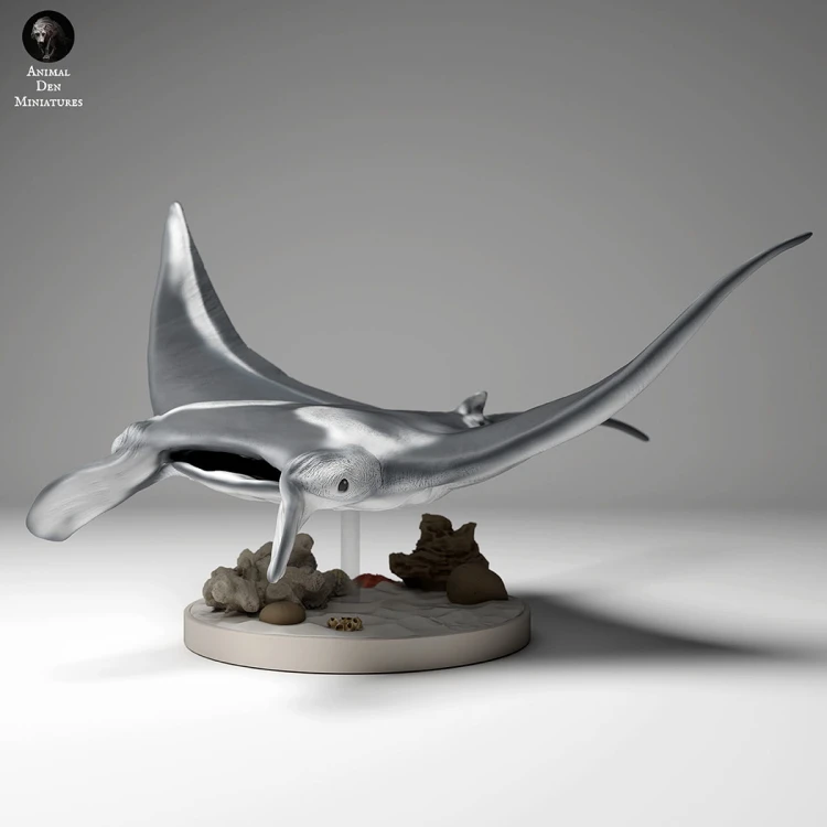 35130269_reef_manta_3.jpg