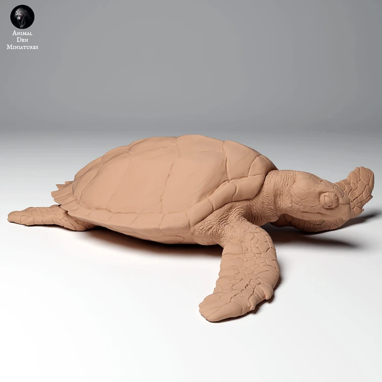 35130266_hawksbill_turtle_land_2.jpg