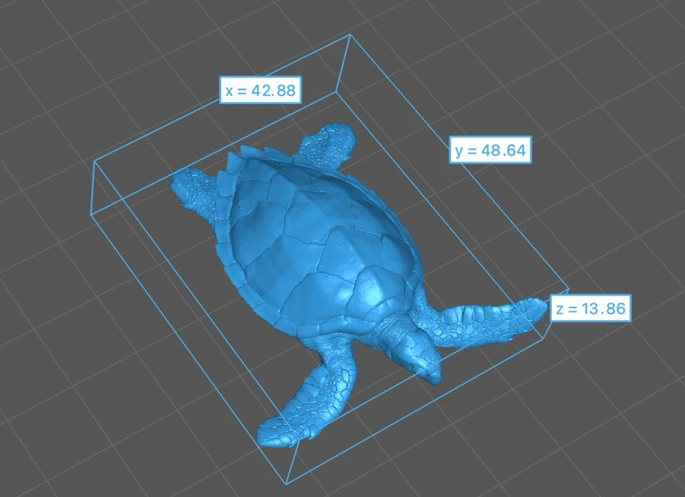 35130266_hawksbill_turtle_land_5.png