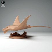 35130269_reef_manta_1.jpg