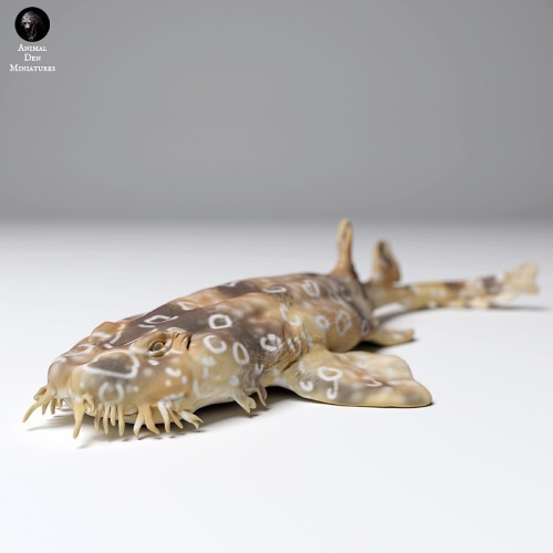 35130271_spotted_wobbegong_3.jpg