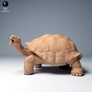 35130273_galapagos_tortoise_eat_1.jpg