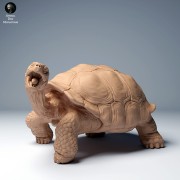 35130273_galapagos_tortoise_eat_2.jpg
