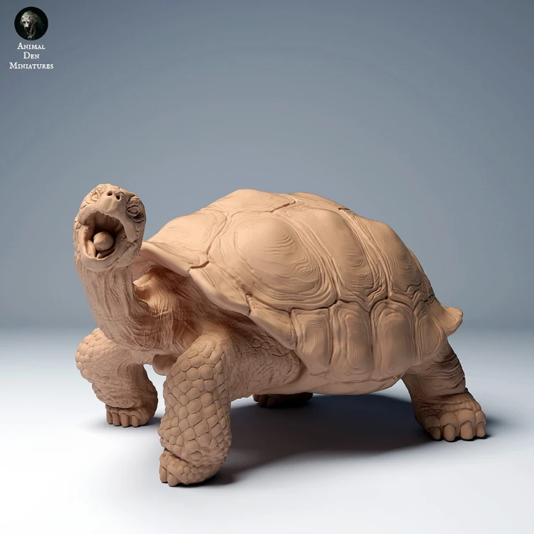 35130273_galapagos_tortoise_eat_2.jpg