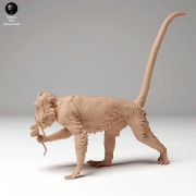 35130278_macaque_glasses_1.jpg