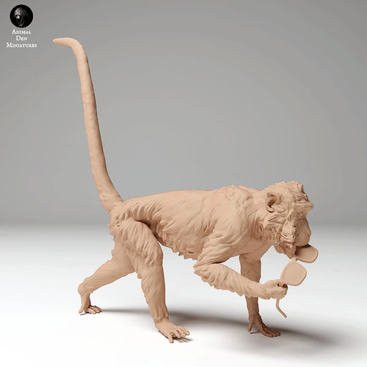 35130278_macaque_glasses_3.jpg