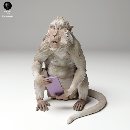 35130279_macaque_phone_3.jpg