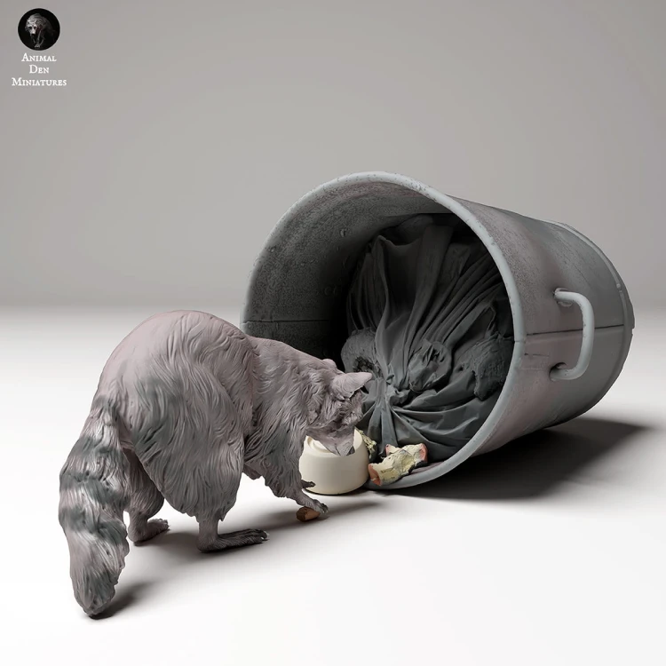 35130438_racoon_ground_trash_4.jpg
