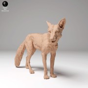 35130440_red_fox_2.jpg