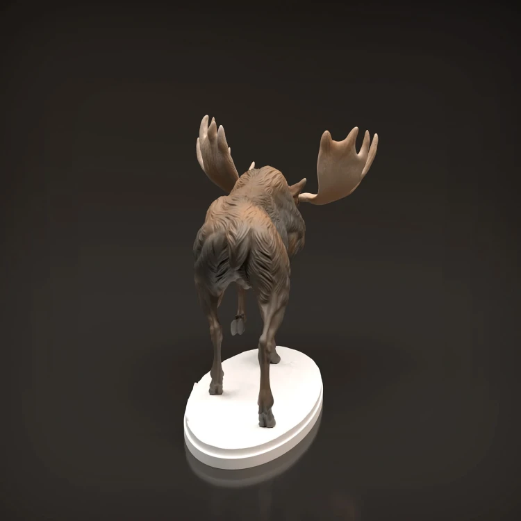 35130446_moose-4.jpg