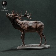 35130447_red-deer-call-1.jpg