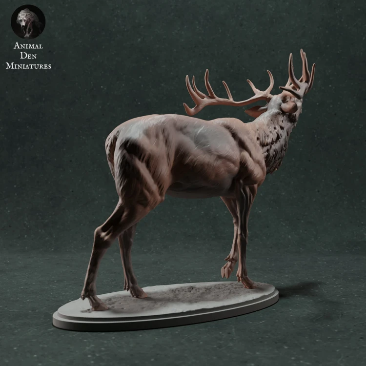 35130447_red-deer-call-3.jpg
