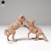 35130441_red_fox_PUPS_4.jpg