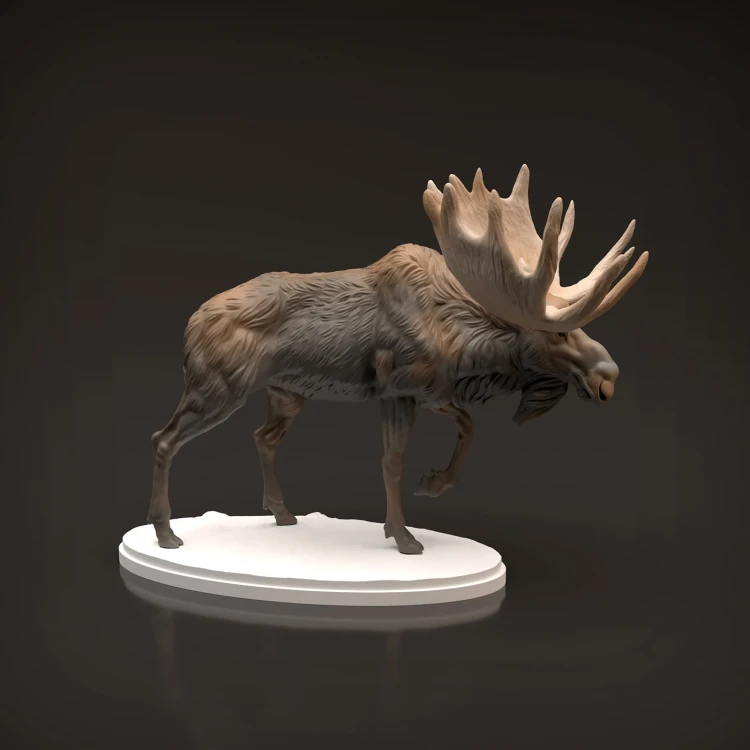 35130446_moose-2.jpg
