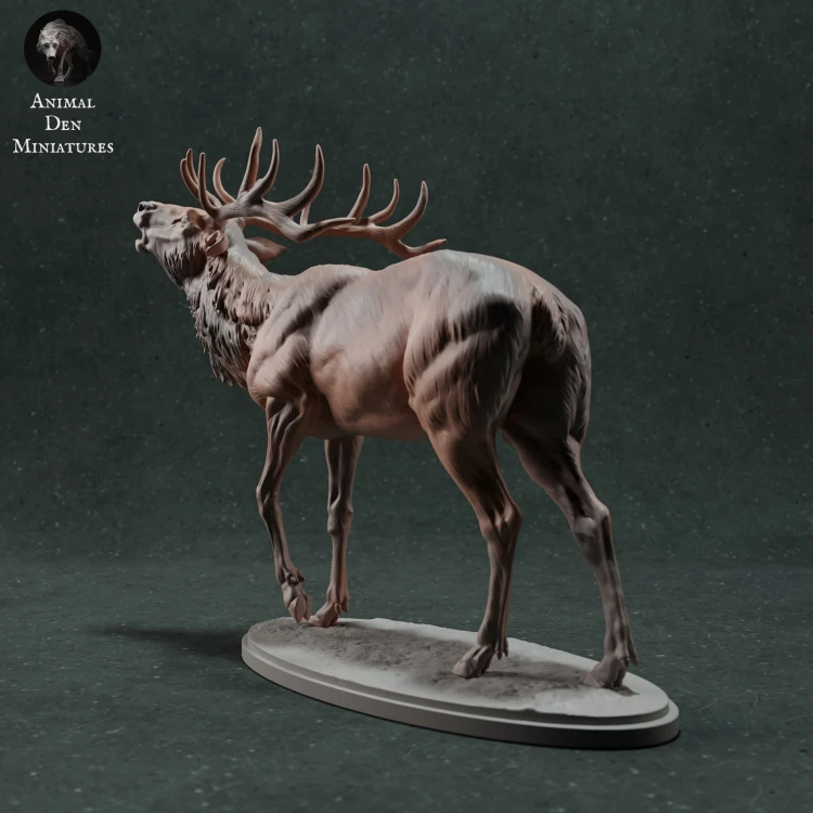 35130447_red-deer-call-4.jpg