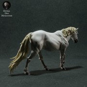 35130281_camargue-horse-2.jpg