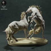camargue-horses-fight-4.jpg