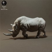 black-rhino-1.jpg