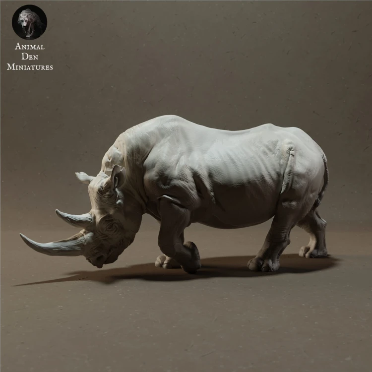 black-rhino-1.jpg