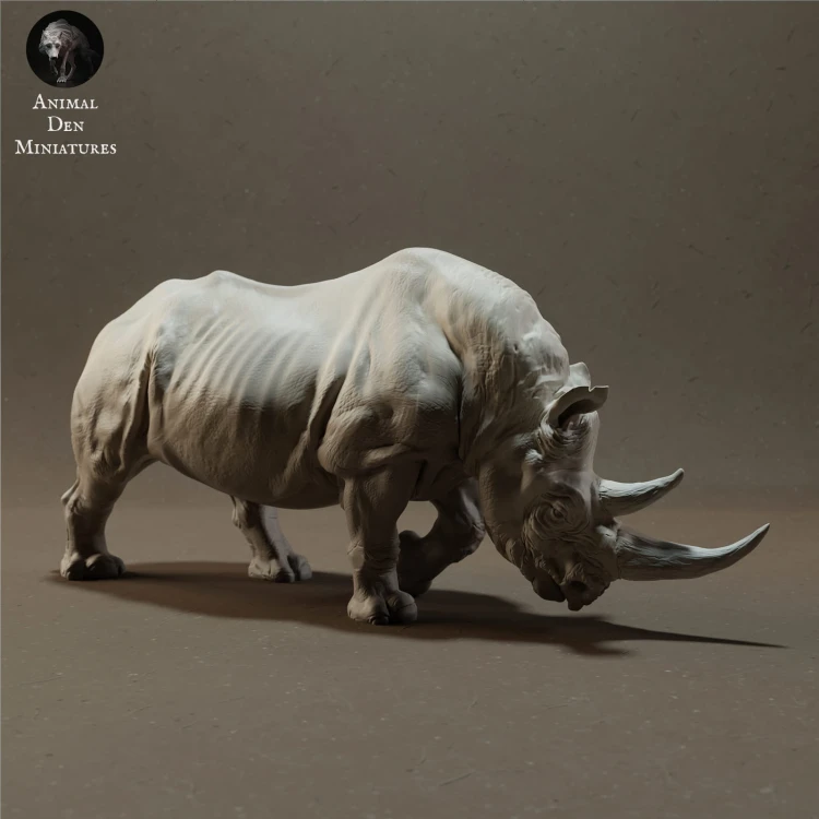 black-rhino-2.jpg