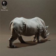black-rhino-3.jpg