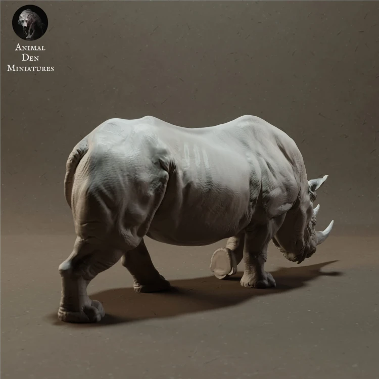 black-rhino-3.jpg