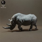 black-rhino-4.jpg