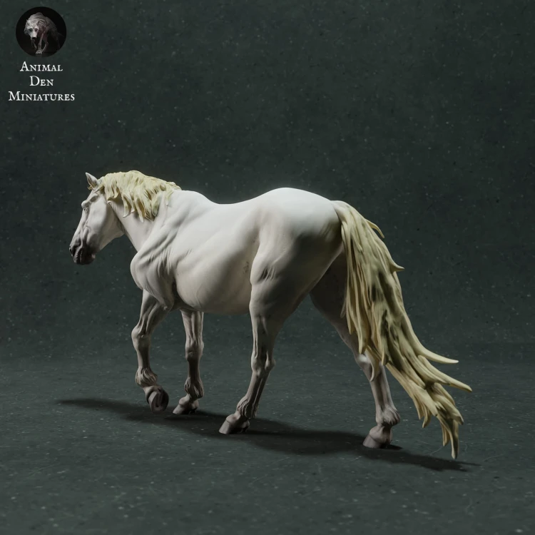 35130281_camargue-horse-3.jpg
