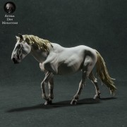 35130281_camargue-horse-4.jpg