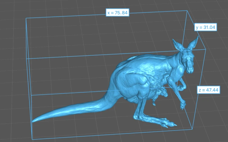 35130286_kangaroo-joey-puch-4.png