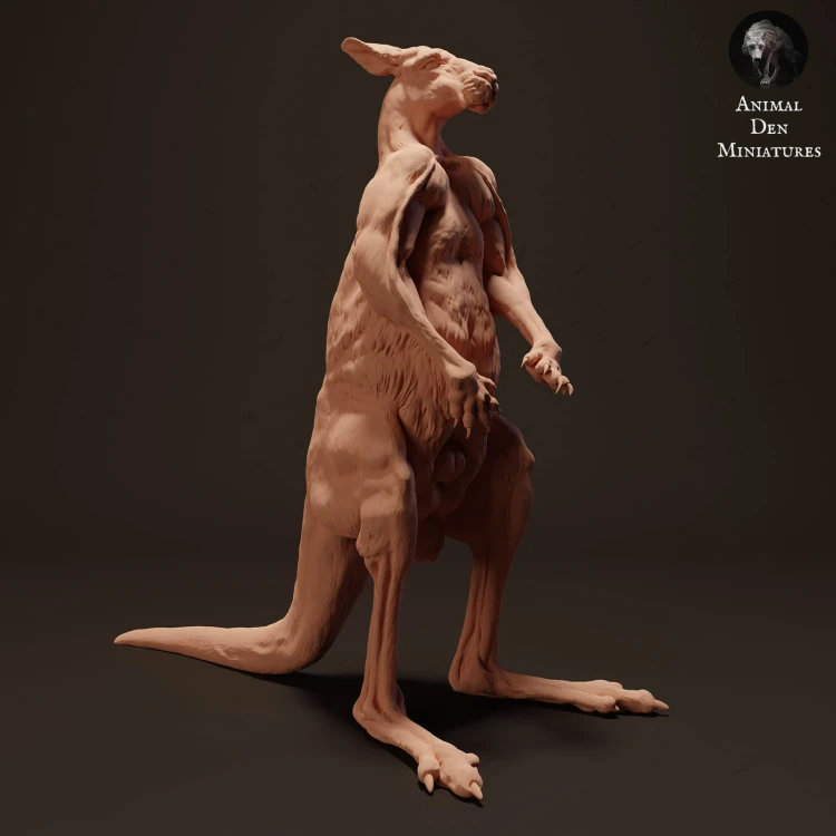 35130287_kangaroo-standing-2.jpg