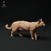 35130110_cat-1.jpg