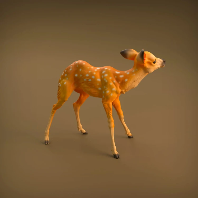 35130420_resize-baby-deer-3.jpg