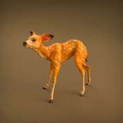 35130420_resize-baby-deer-7.jpg