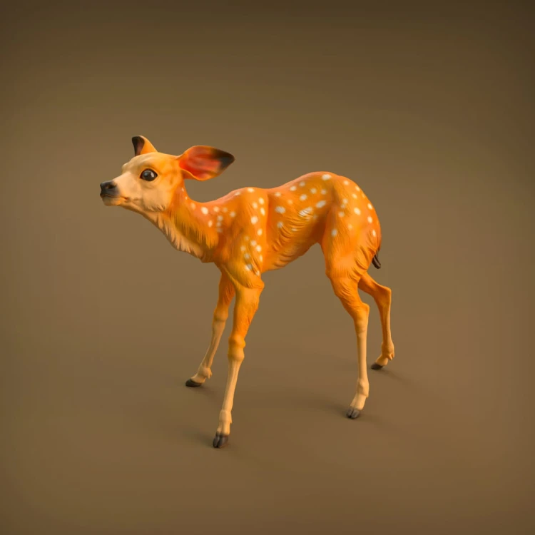 35130420_resize-baby-deer-7.jpg