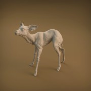 35130420_resize-baby-deer-9.jpg