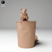 35130437_racoon_in_trash_2.jpg