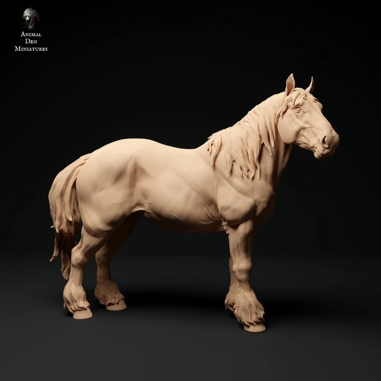 35130347_suffolk-punch-horse-mare-stand-1.jpg
