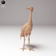 35130533_crane_2.jpg