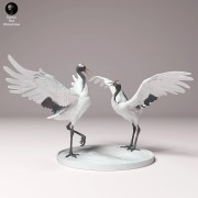 35130535_cranes_3.jpg