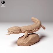35130295_japanese_giant_salamander_fish_1.jpg