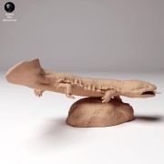 35130295_japanese_giant_salamander_fish_2.jpg