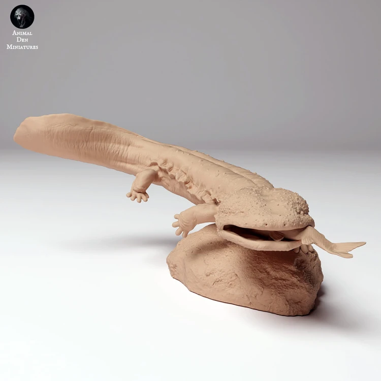 35130295_japanese_giant_salamander_fish_3.jpg