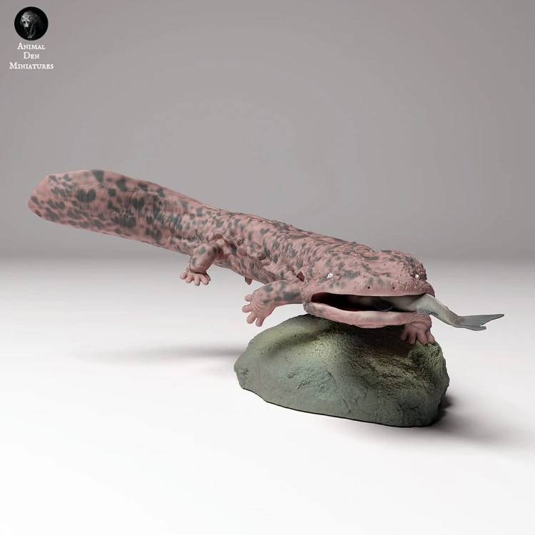 35130295_japanese_giant_salamander_fish_4.jpg