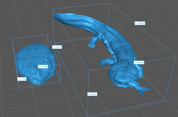 35130295_japanese_giant_salamander_fish_5.png