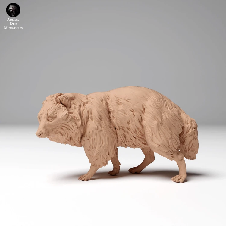 tanuki_2.jpg