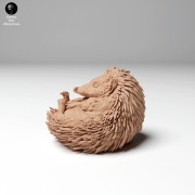 hedgehog_1.jpg
