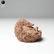 hedgehog_2.jpg