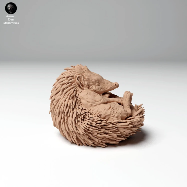 hedgehog_2.jpg